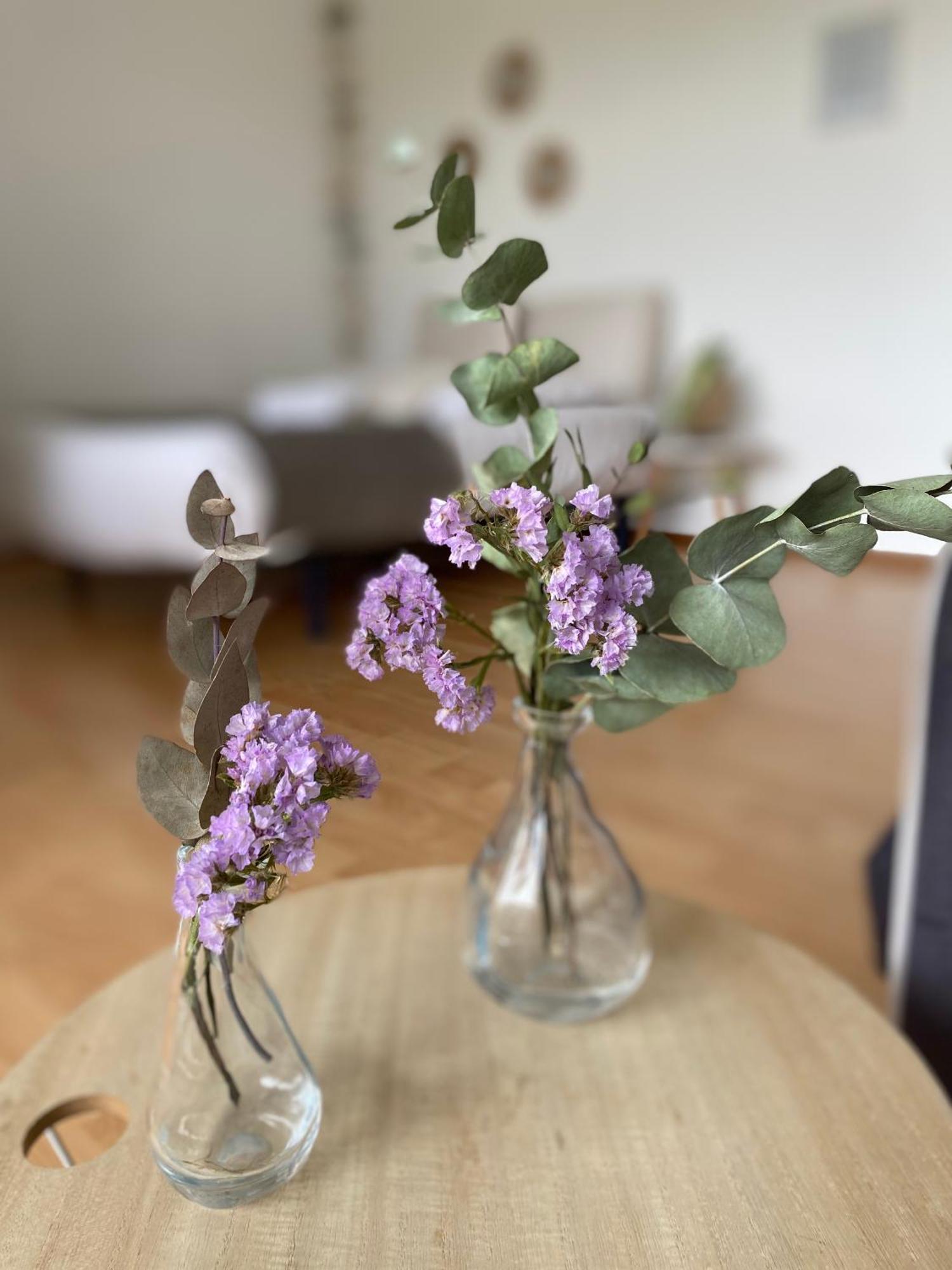 Superbe Appartement Confortable, Proche Centre Ville Rennes Ngoại thất bức ảnh